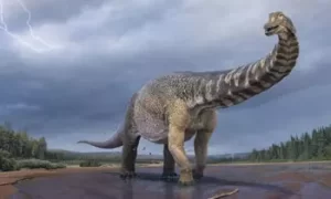 สายพันธุ์ไดโนเสาร์